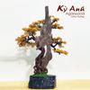 Trầm Cảnh Bonsai TC05