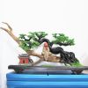 Trầm Cảnh Bonsai TC10