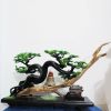 Trầm Cảnh Bonsai TC10