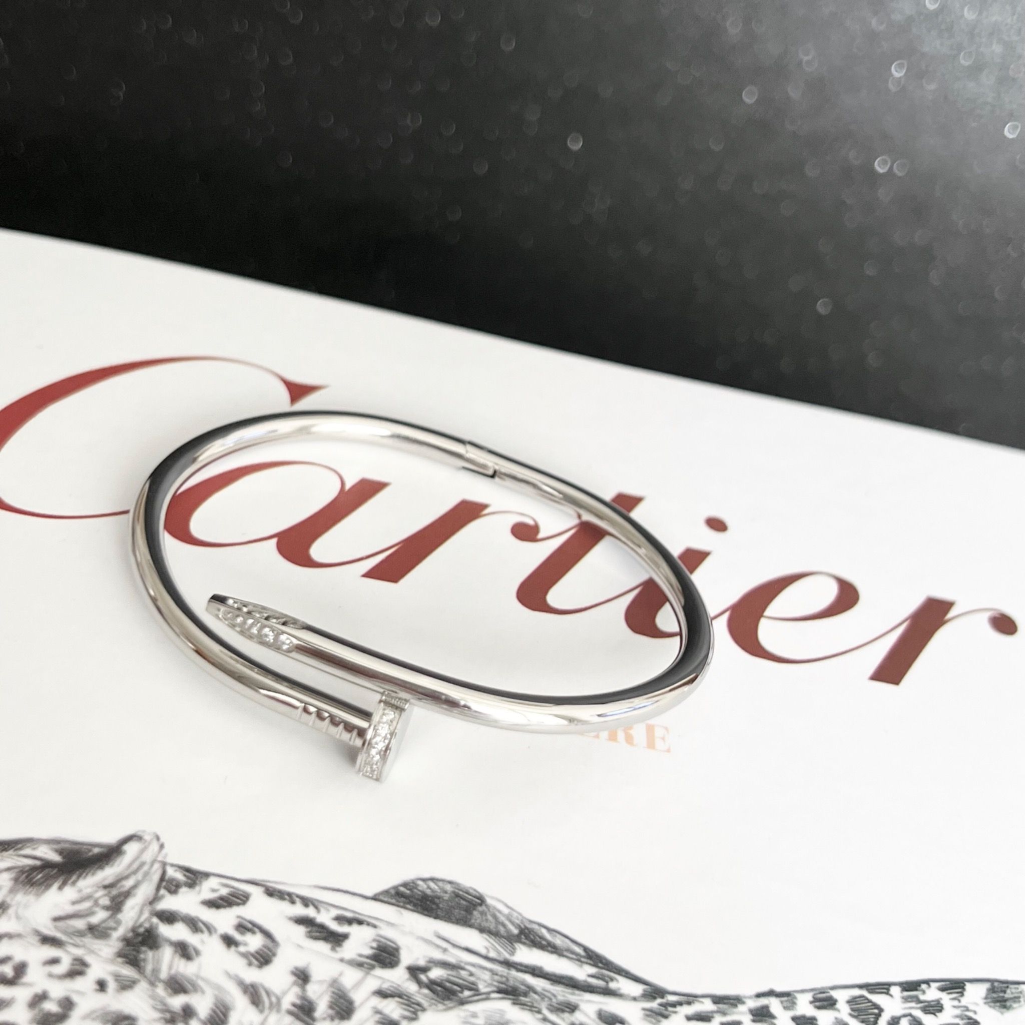 Bộ Trang Sức Cây Đinh Cartier Titan Cao Cấp - Vòng Tay & Nhẫn Màu Trắng Pha Lê (AC)