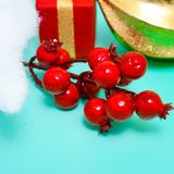  Trái lựu trang trí Noel 