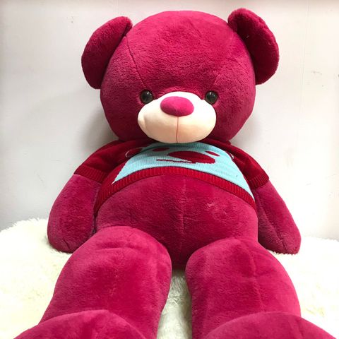 Gấu Bông Teddy