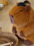  Capybara Có Tóc 