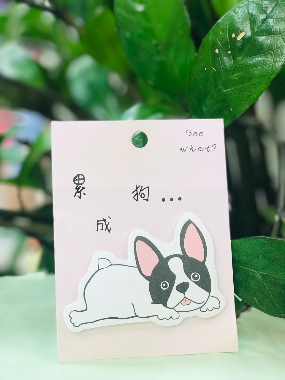  Note Chó Pug Dáng Nằm 