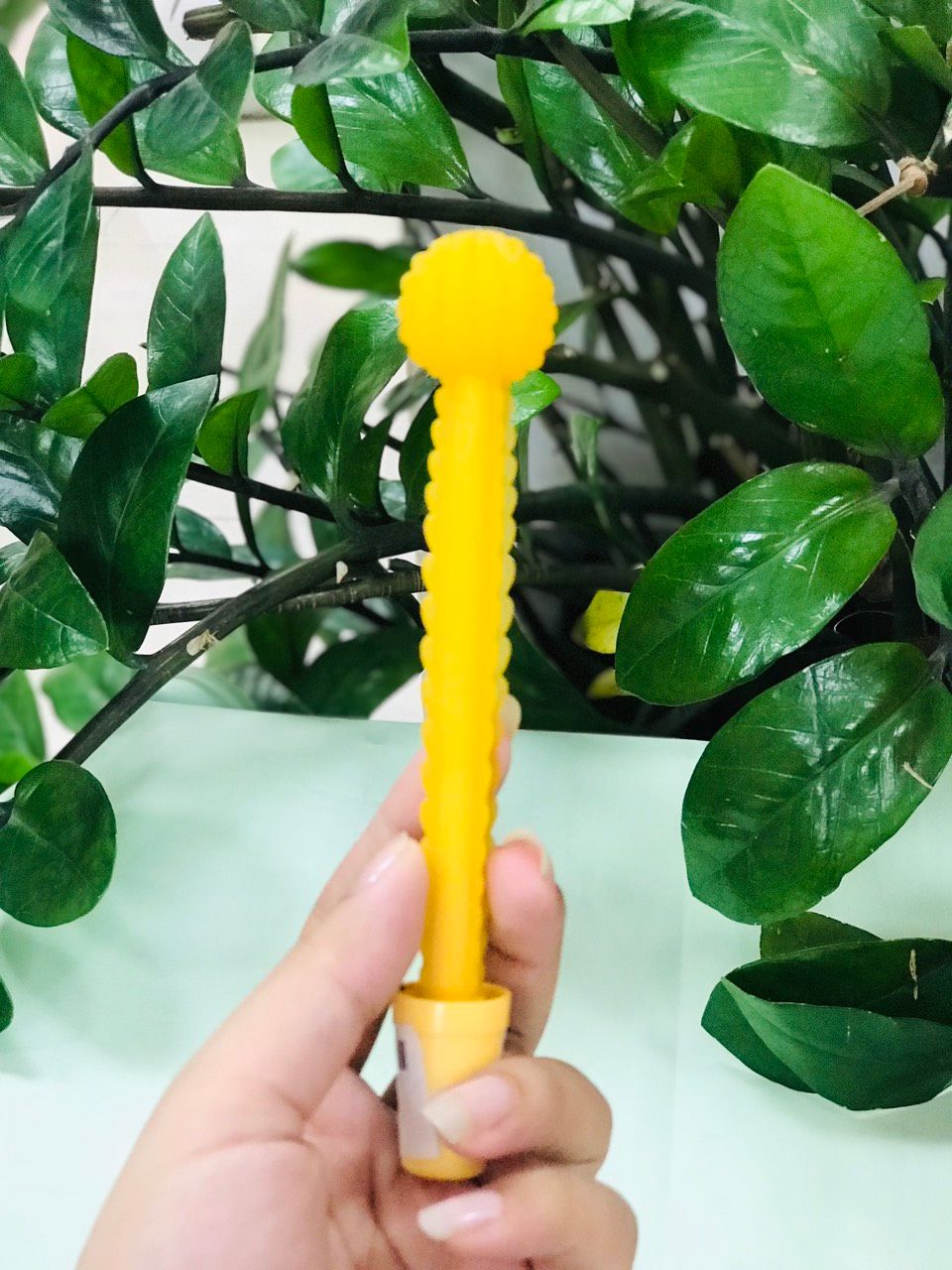 Bút Cây Xương Rồng Màu Vàng
