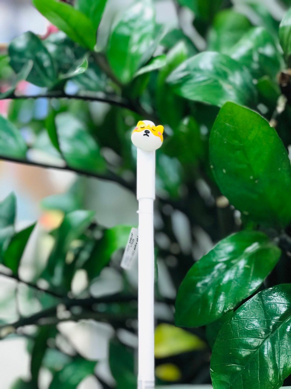 Bút Chó Shiba Nhắm Mắt