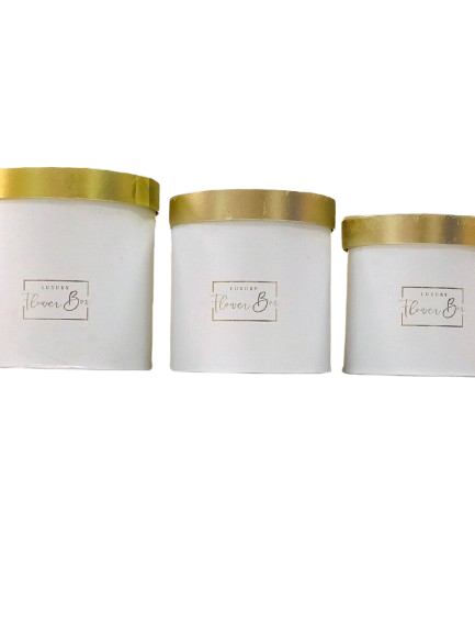 Hộp Qùa Trụ Tròn Cắm Hoa Mẫu Luxury FLOWER BOX Màu Trắng - Chipchipshop