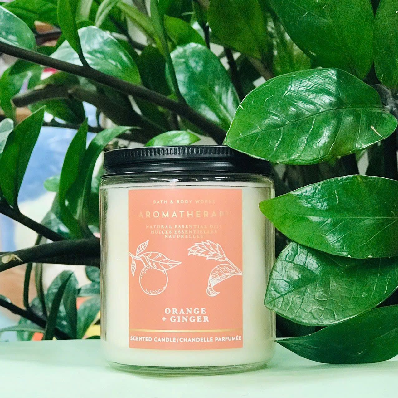 Nến Thơm Bath & Body Works Mùi Orange +Ginger - Chipchipshop