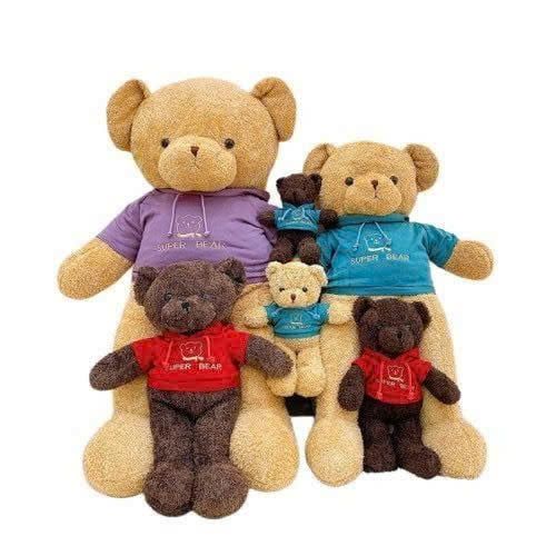 Thú Bông Gấu Lông Chỉ Vàng Áo Màu Tím Superbear Size 60cm - Chipchipshop