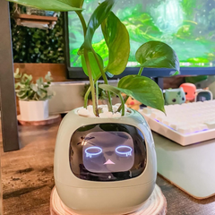 Robot chậu cây thông minh IVY - Tích hợp công nghệ AI với trí thông minh cảm xúc