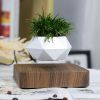 Chậu Cây Lơ Lửng - Levitating Plant