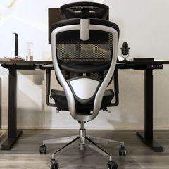 Ghế công thái học GAMI Crom (Phiên bản lưng Carbon)