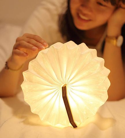  Accordion Lamp - Đèn gấp gọn đa năng, Ánh sáng đầy cảm hứng 