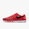 Nike Air Zoom Pegasus 33