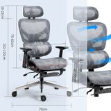 Ghế công thái học ergonomic CR4320-M