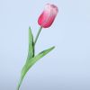 Hoa tulip giả trang trí