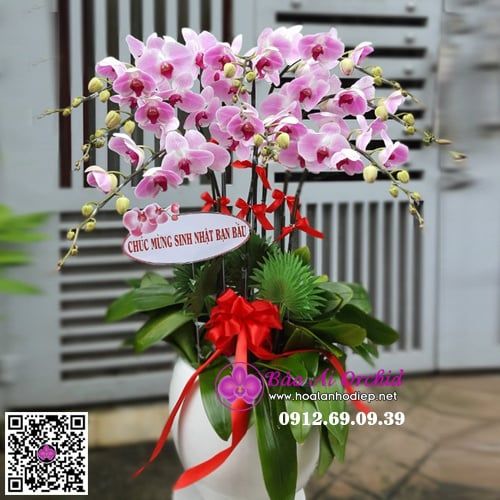 Chậu hoa lan 9 cành hồng LHD-630