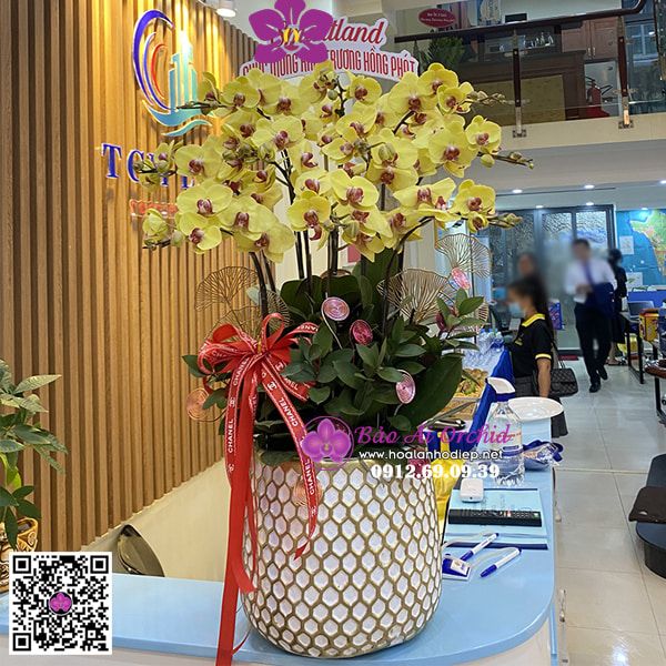 Bình hoa lan vàng thần tài mừng khai trương LHD-670
