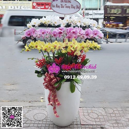 Chậu hoa lan 3 tầng đa sắc LHD-629