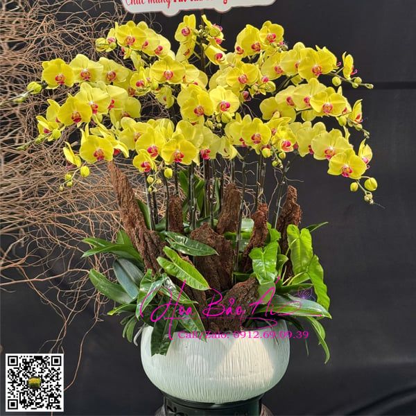 Chậu hoa lan vàng sang trọng LHD-793