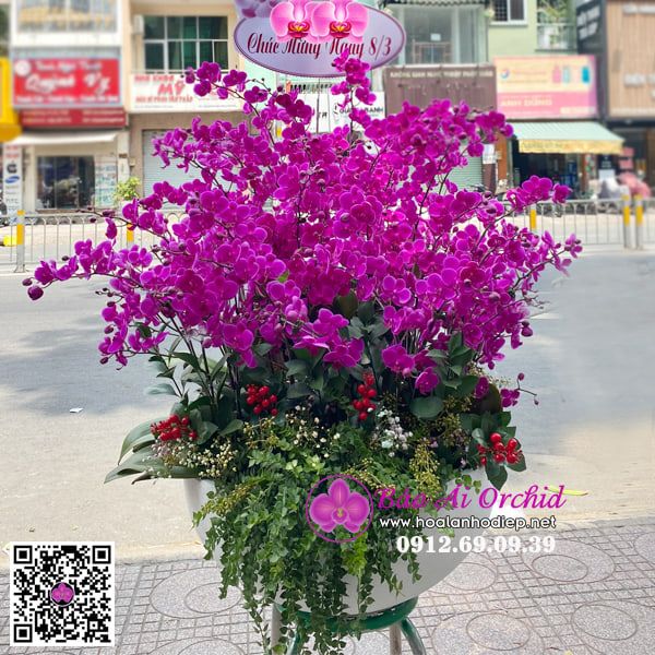 Bình hoa lan mãn thiên hồng LHD-654