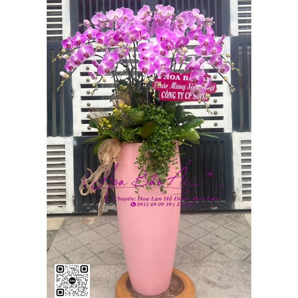 CHẬU HOA LAN TẶNG TẾT 2024 - LHD 726