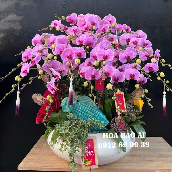 Chậu hoa lan hồng biếu tết 2025 LHD-780
