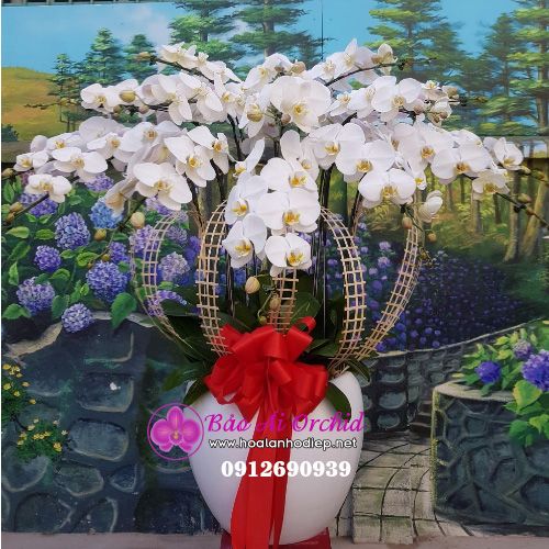 Chậu hoa lan trắng 15 cành LHD-532