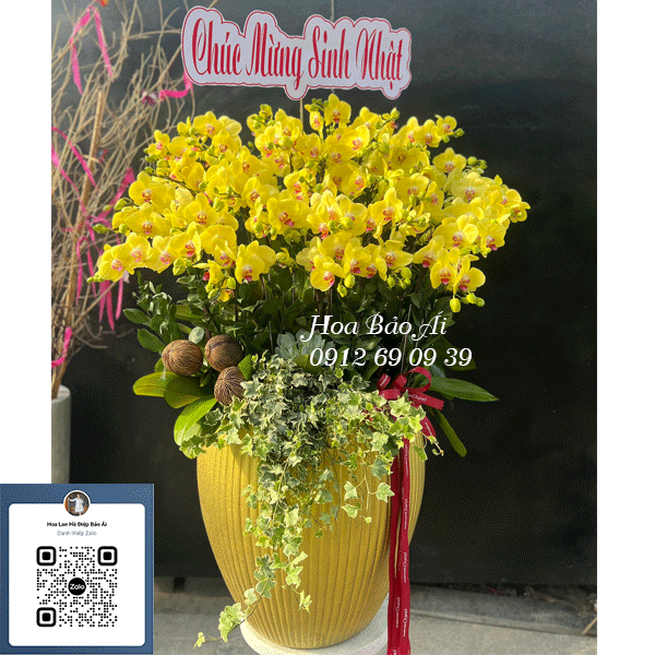 Chậu hoa lan chúc mừng sinh nhật Sếp 39 cành LHD-750