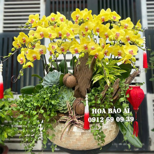 Chậu hoa lan vàng đẹp LHD-779
