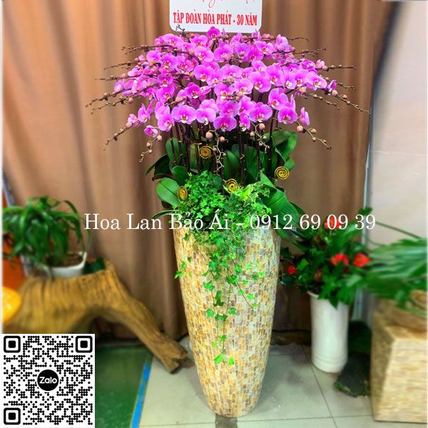 Chậu hoa lan khảm trai VIP LHD-691