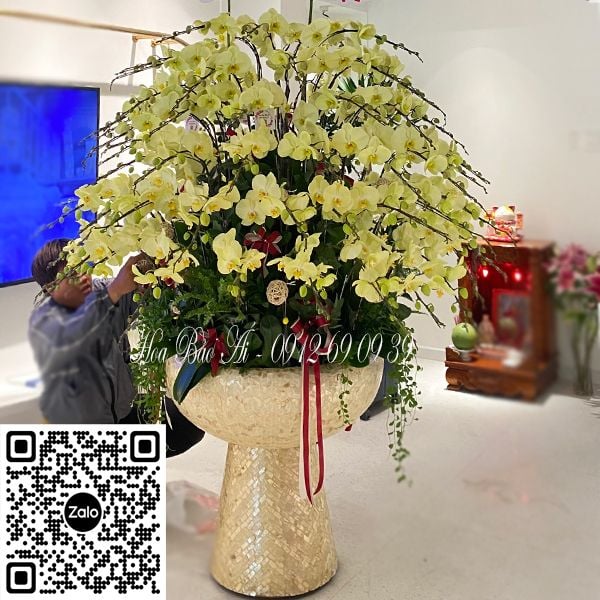 Chậu hoa lan hồ điệp xanh táo LHD-723