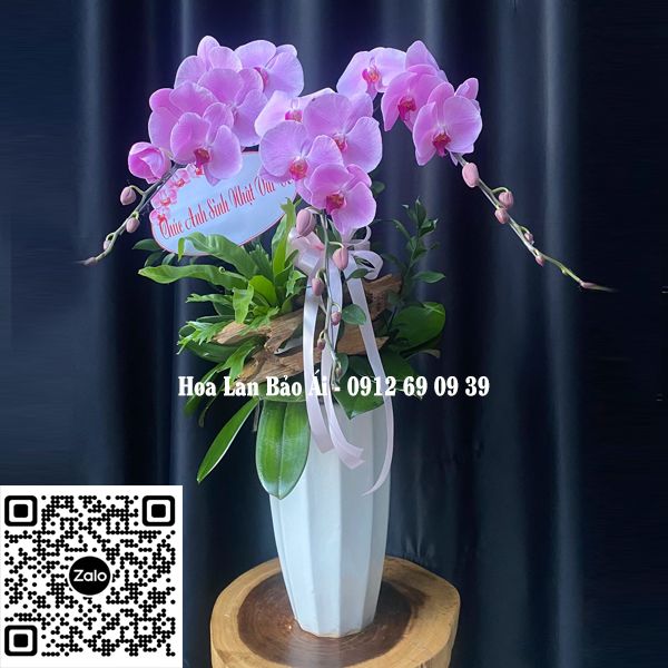 Chậu lan đẹp LHD-710