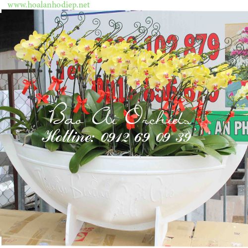 Thuyền hoa lan hồ điệp chúc mừng năm mới 2019 LHD-292