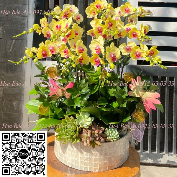 Chậu hoa vàng chúc mừng sinh nhật LHD-722