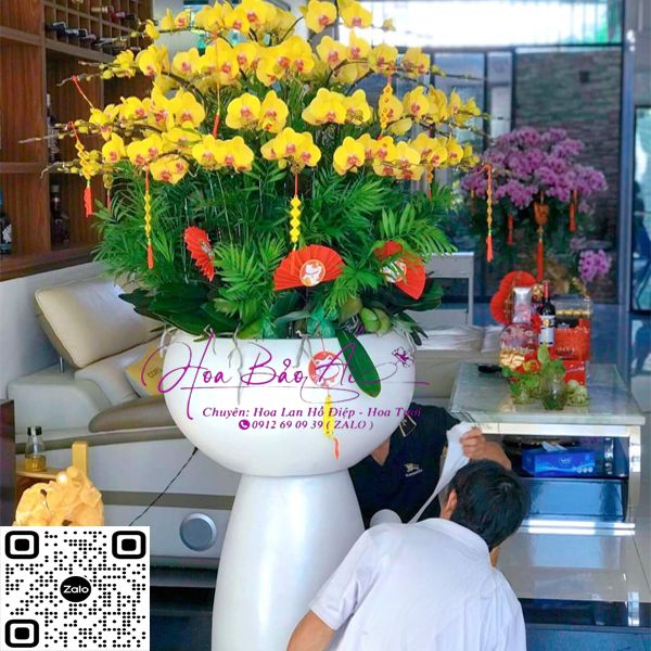 Chậu hoa lan hồ điệp đẹp biếu tết 2024 -LHD 728