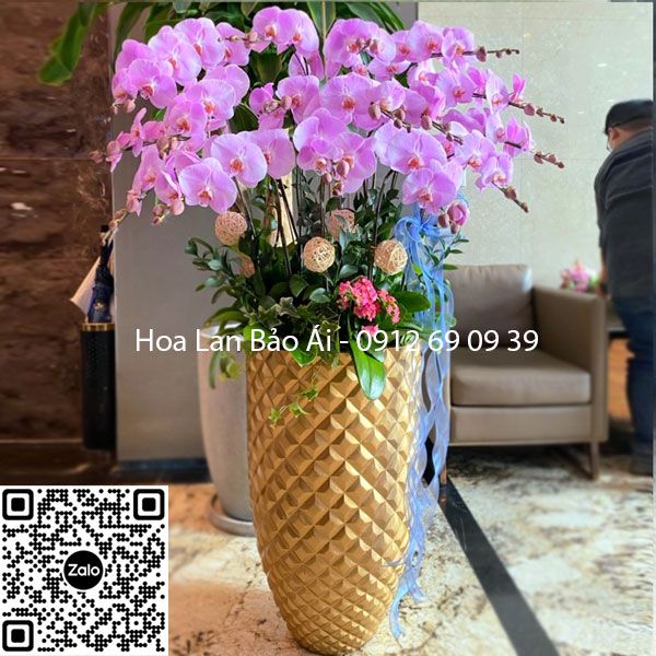 Chậu hoa lan hồ điệp tết 2023 - Hoa Tặng Sếp LHD-689