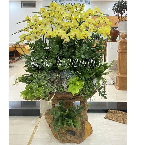 Lũa hoa lan hồ điệp đẹp LHD-721