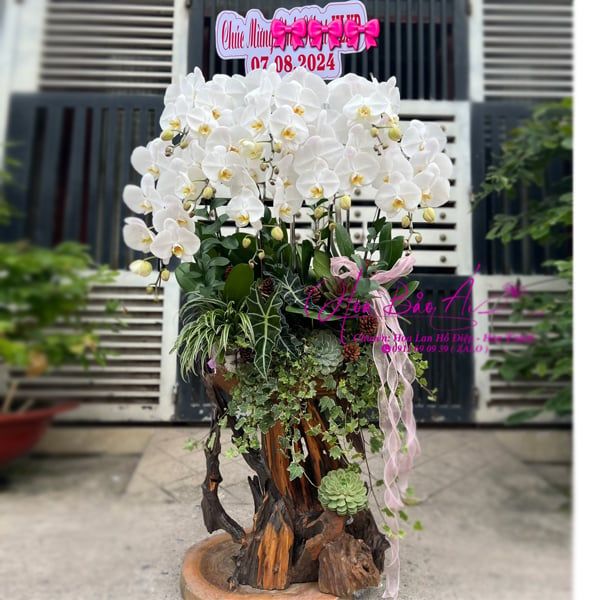 Lũa gỗ hoa lan chúc mừng sinh nhật LHD-758