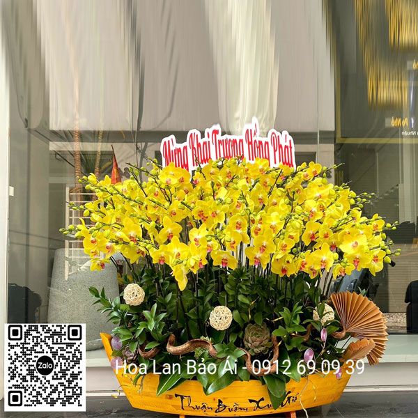 Thuyền hoa lan hồ điệp khai trương LHD-696