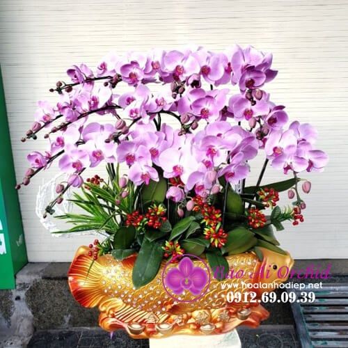 Thuyền hoa lan cá chép tặng dịp tết LHD-594