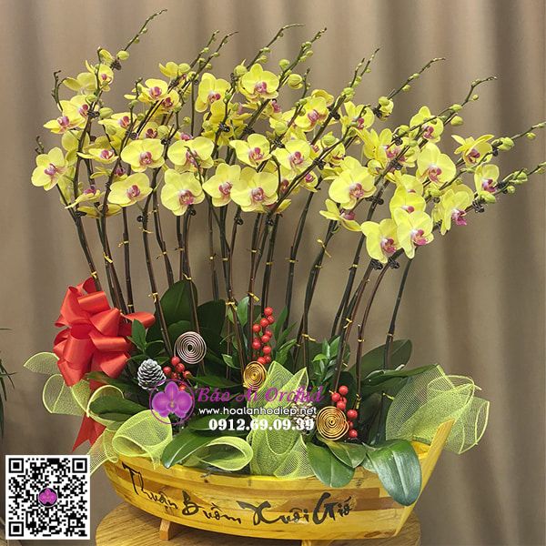 Thuyền hoa lan vàng khai trương LHD-675