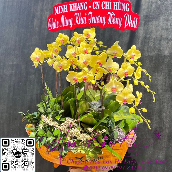 Thuyền hoa lan biếu tết 2024 - LHD