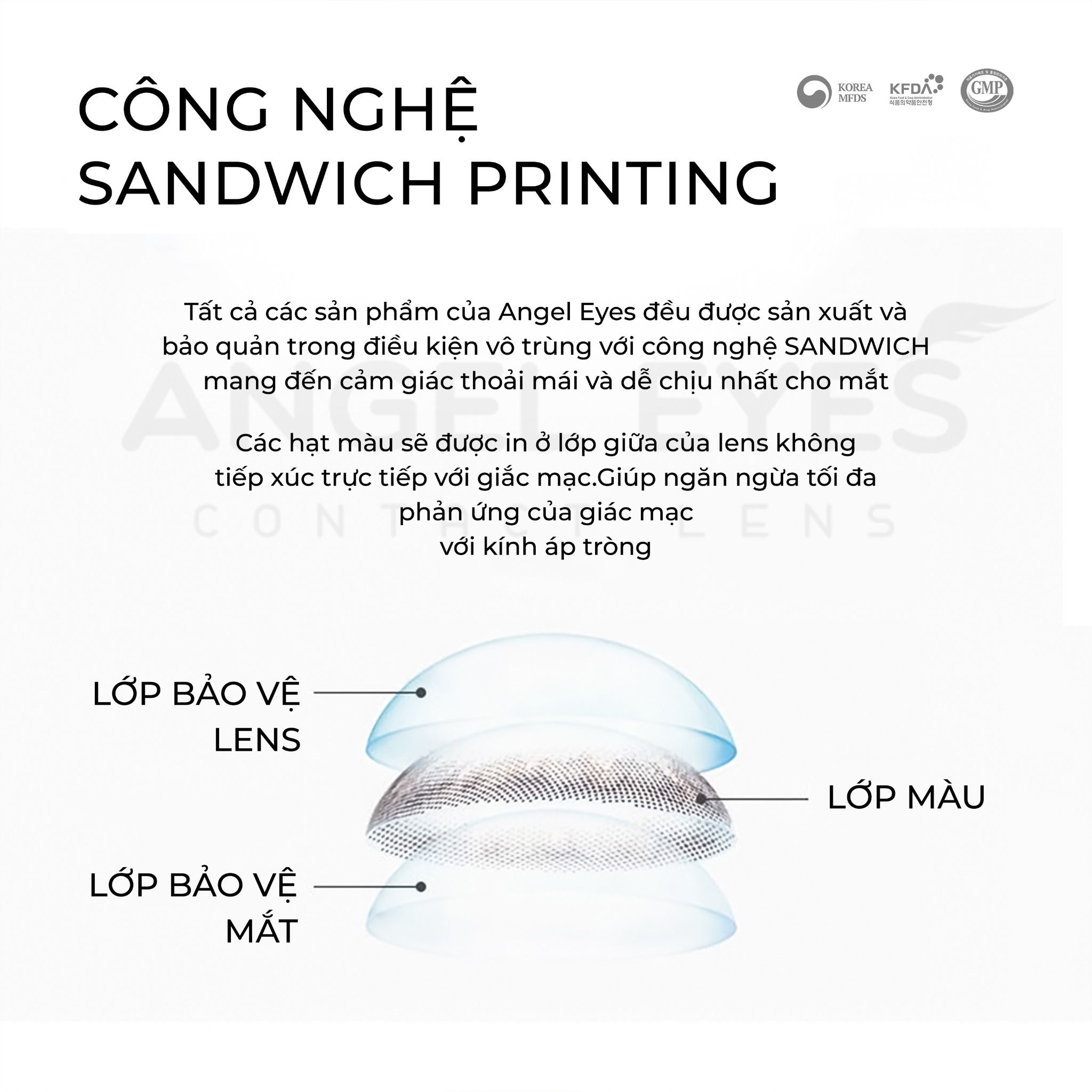 Kính áp tròng Mochi Brown