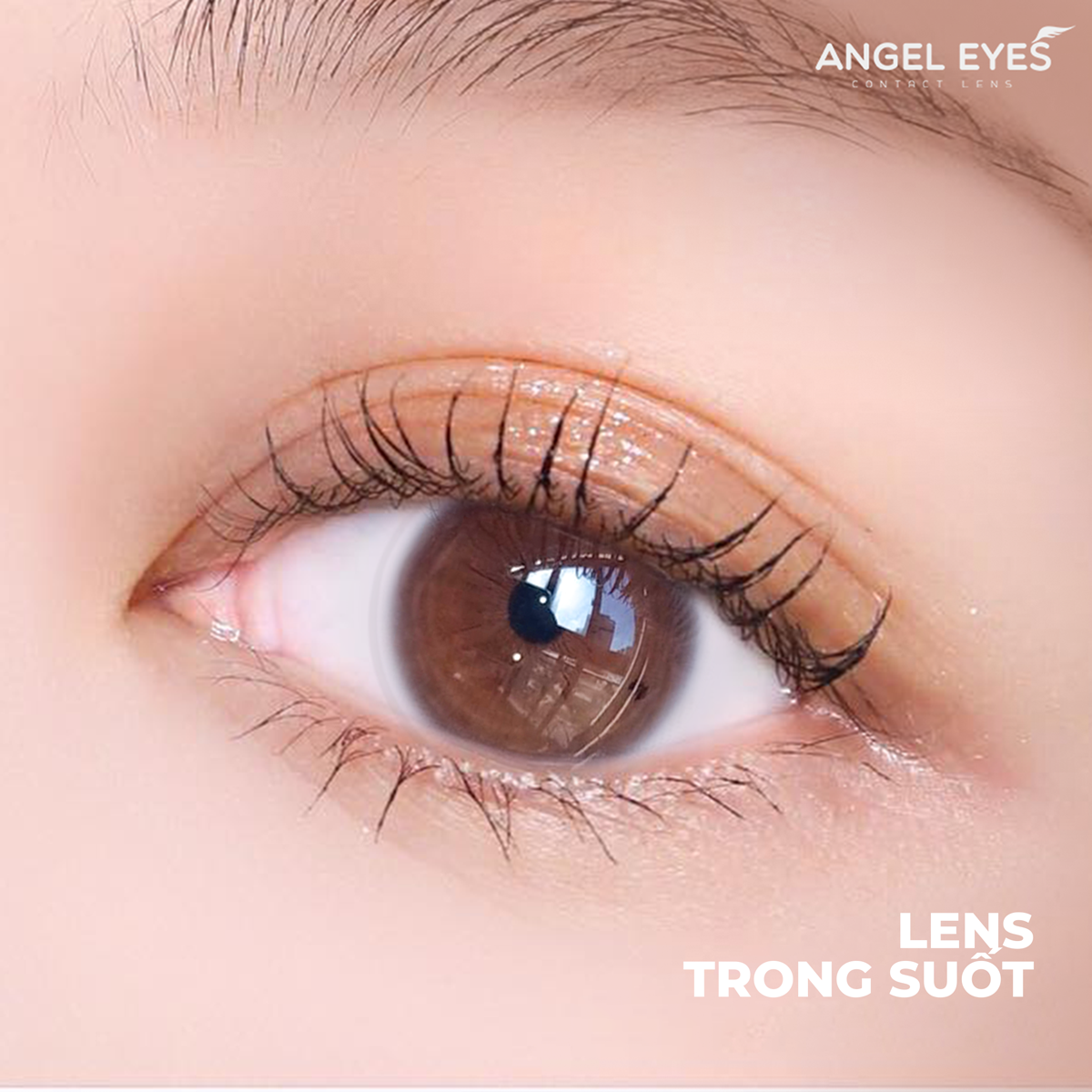 TRANSPARENT 1-DAY LENS | COLORLESS 1-DAY CONTACT LENS AGAINST BLUE LIGHT