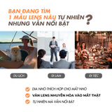  Kính áp tròng nâu tây tự nhiên Nami 