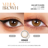  Kính áp tròng Silicone Hydrogel Venus Brown 