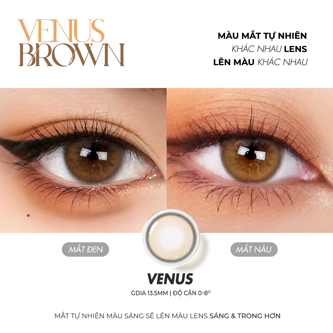 Kính áp tròng Silicone Hydrogel Venus Brown