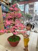 Cây Hoa Đào Bonsai Giả Cao 1m45 Trang Trí Tết