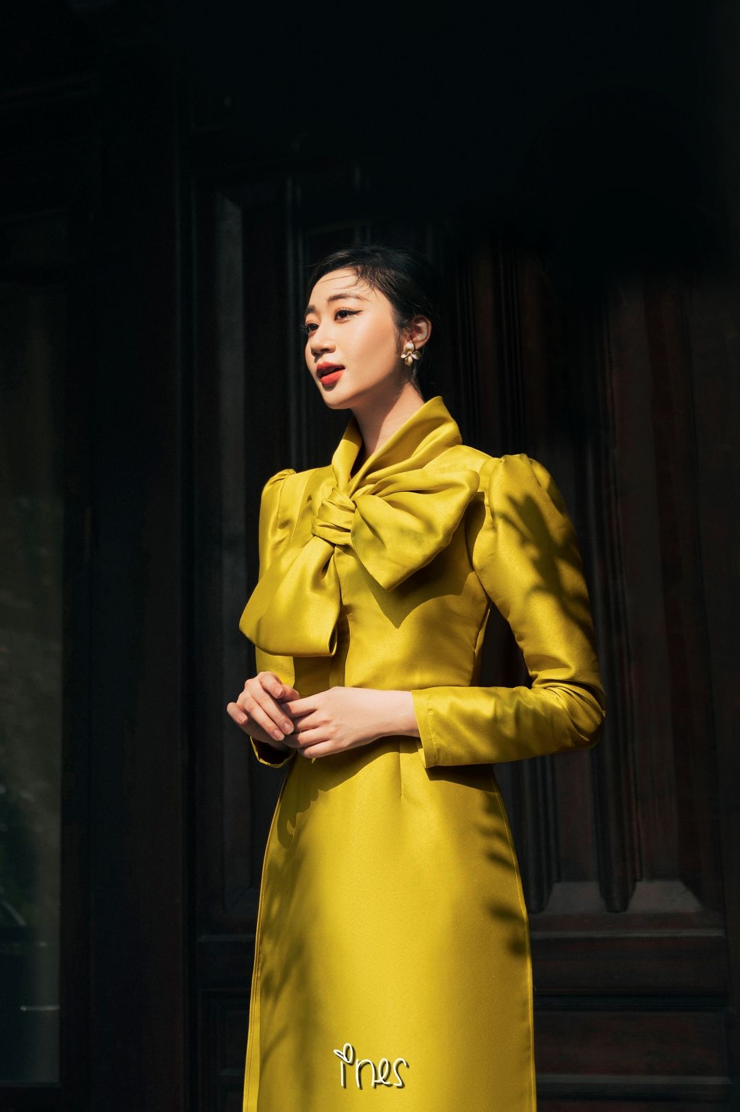 Áo dài Cành Nghi